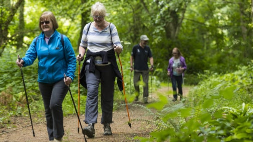 Erddig Nordic Walkers enjoying a walk